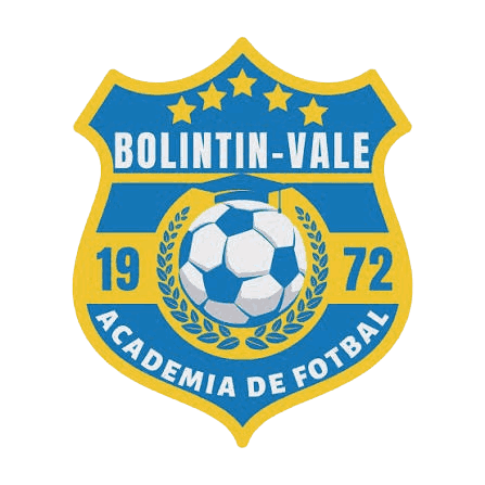 Bolintin Vale